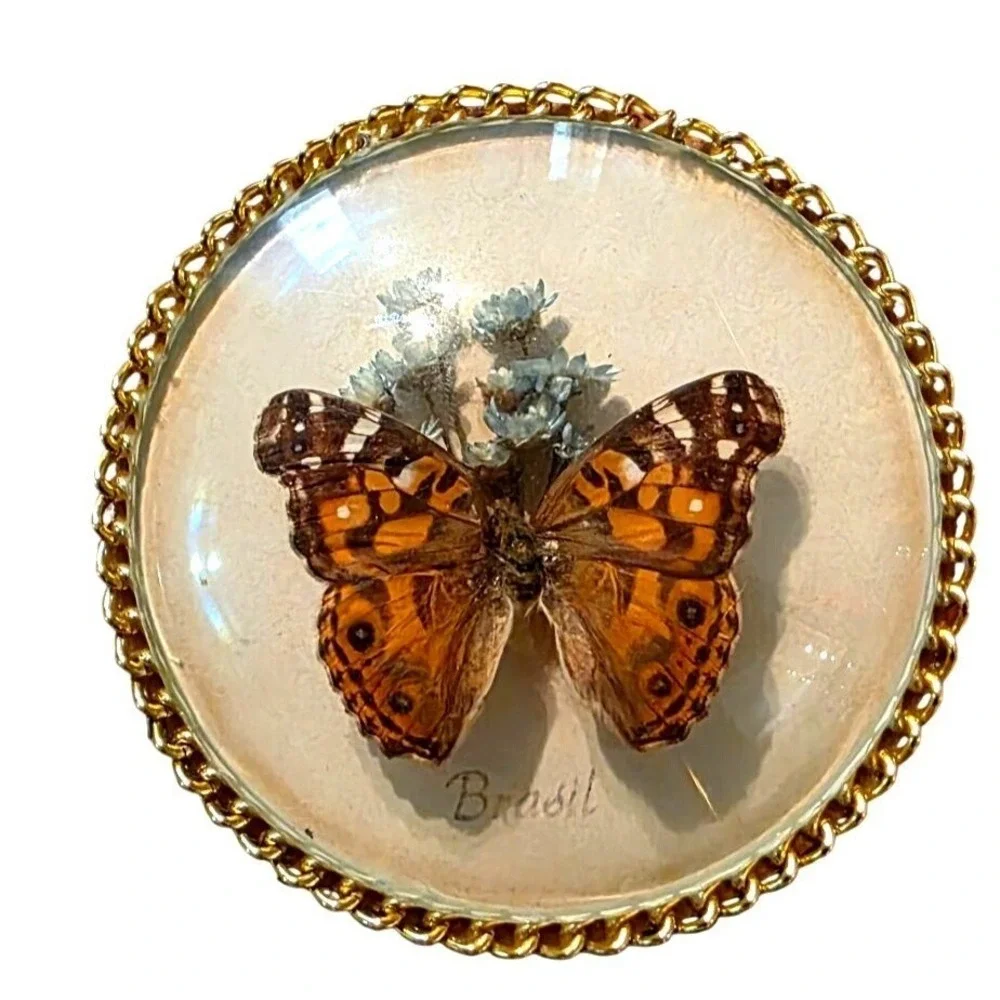 Vintage Trinket Box Butterfly Taxidermy Round Dried Flowers & Brazil Red Felt li